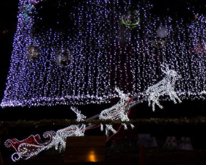 Begin Your December with Christmas in Cooroy at Seachange Coolum