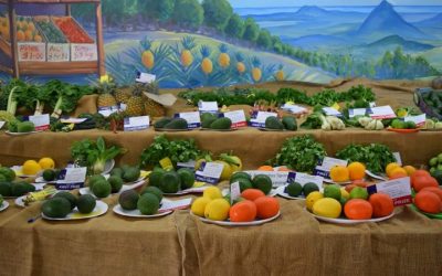 Be at the 2018 Sunshine Coast Agricultural Show